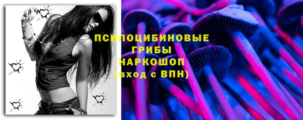 трава Магас