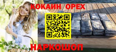 стаф Гатчина