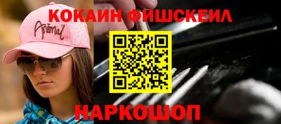 стаф Гатчина