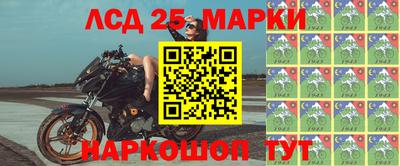стаф Гатчина