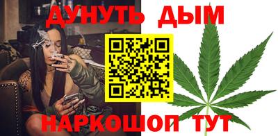 стаф Гатчина