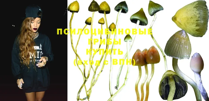 хочу   blacksprut   Галлюциногенные грибы Magic Shrooms  Нефтекамск 