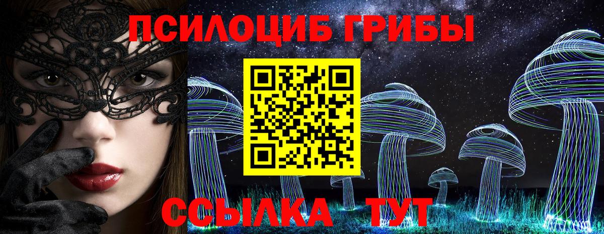 Галлюциногенные грибы Psilocybe Нефтекамск