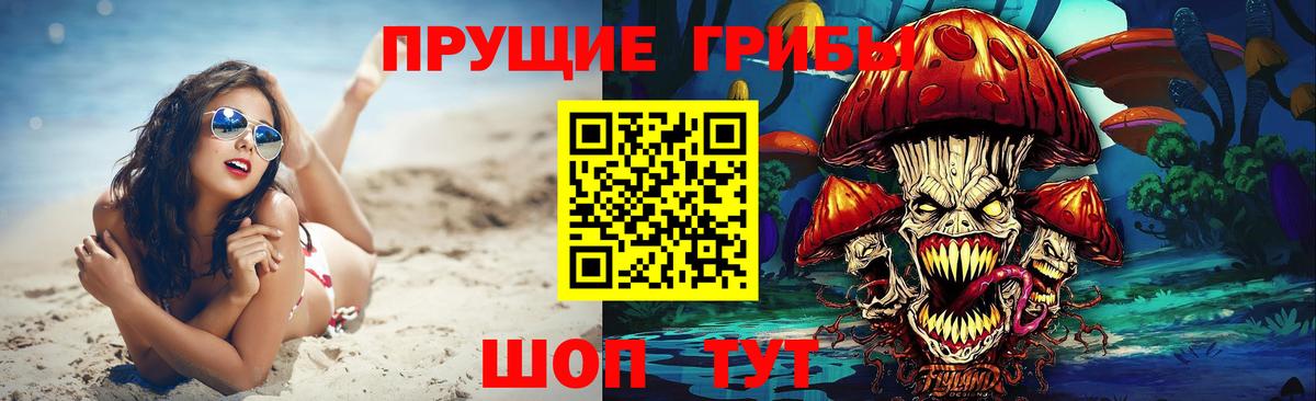где найти   Вход с VPN  Нефтекамск  Псилоцибиновые грибы GOLDEN TEACHER 